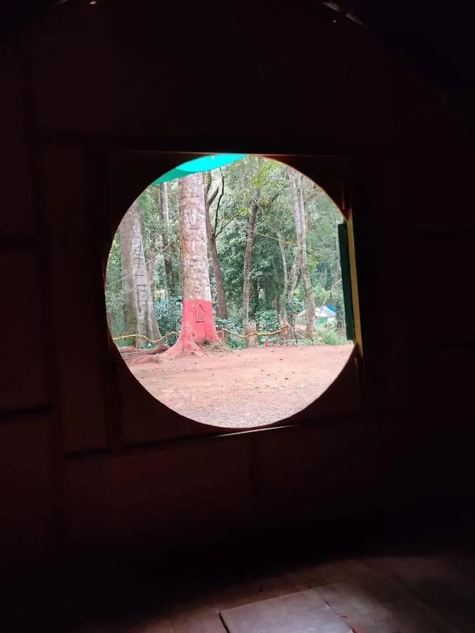 Wildvibes Hostel Meppadi