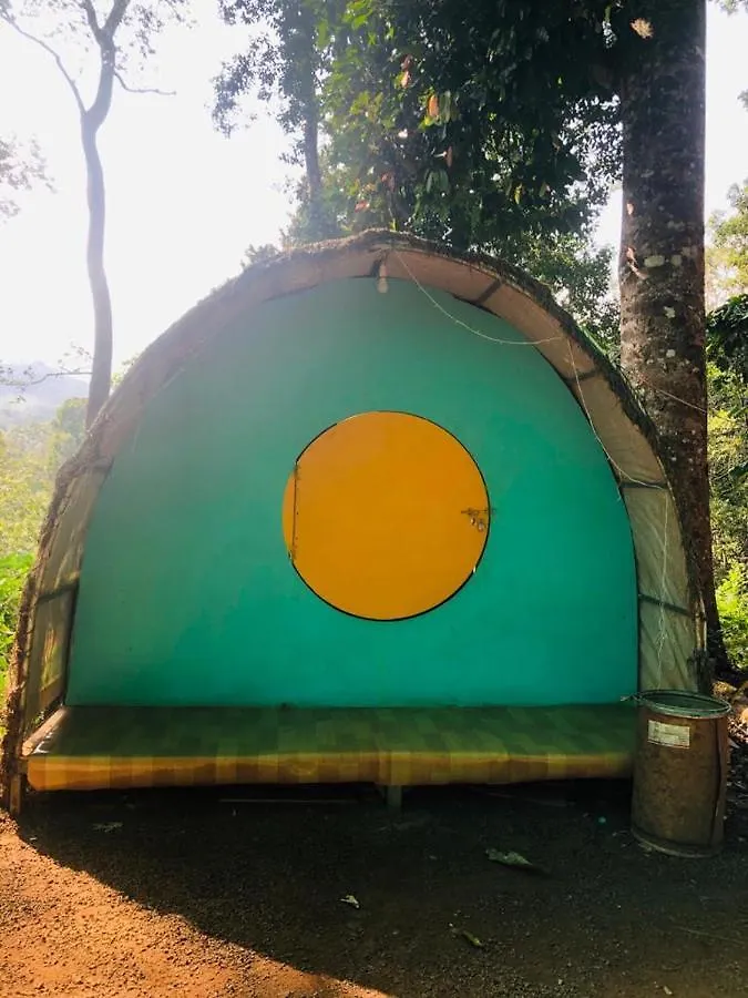 Wildvibes Hostel Meppadi