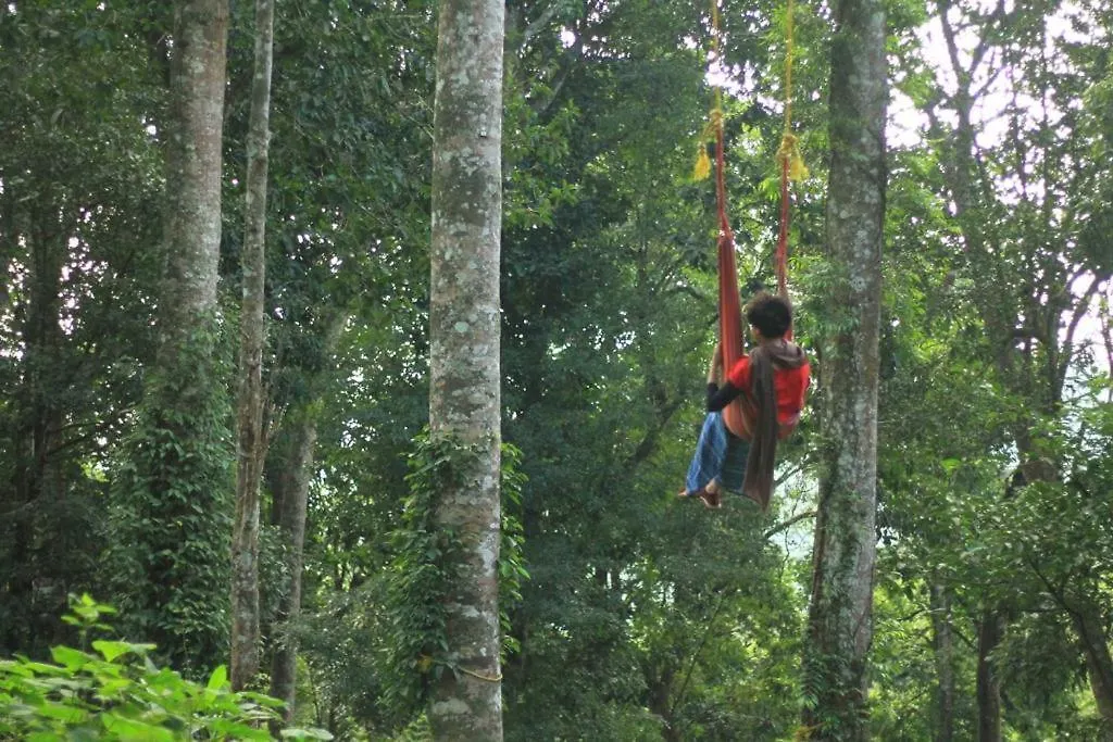 Wildvibes Hostel Meppadi 0*,  India