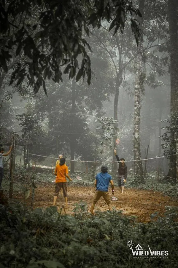 Wildvibes Hostel Meppadi India