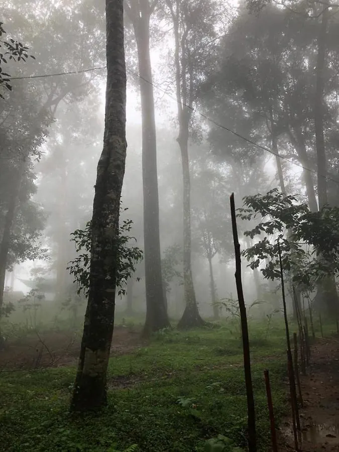 Wildvibes Hostel Meppādi