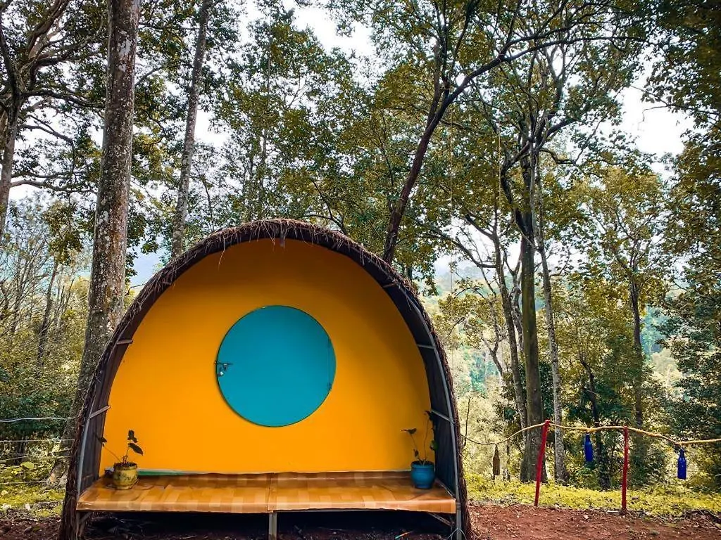 Wildvibes Hostel contacts