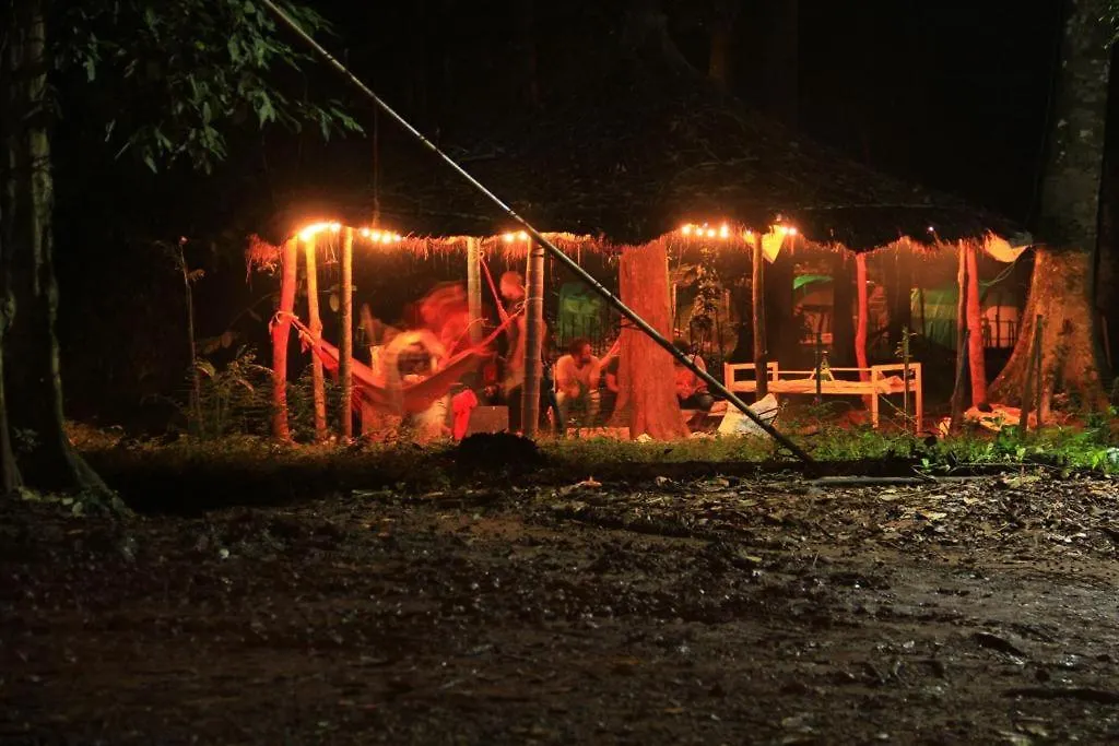 Wildvibes Hostel Meppadi